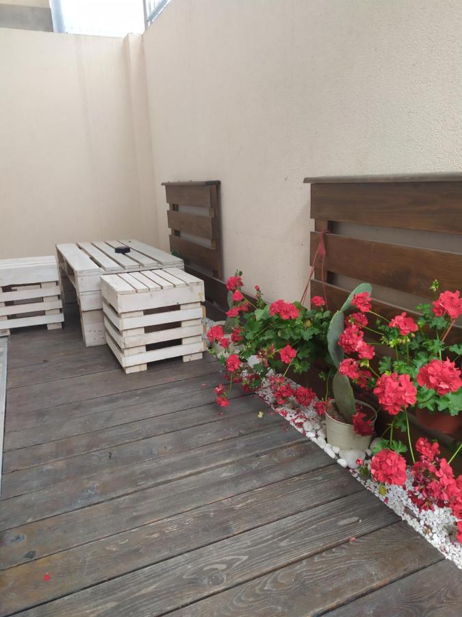 Spa Lux Apartmani Novi Sad Cameră foto
